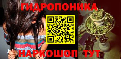 jwh Братск