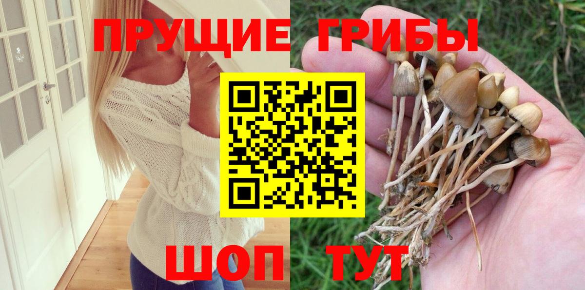 Галлюциногенные грибы Psilocybe Асбест