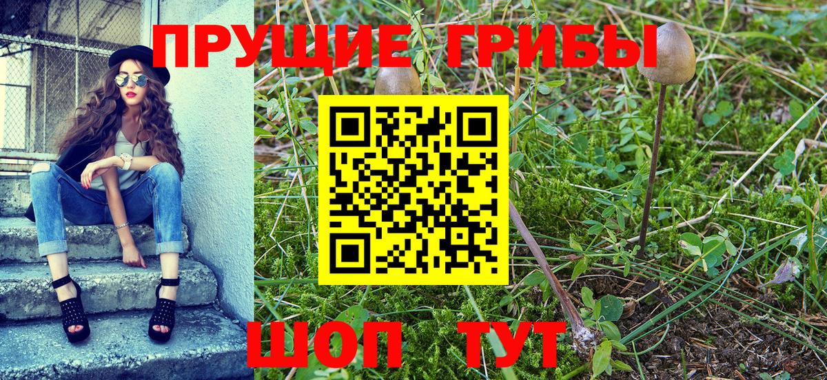 Псилоцибиновые грибы Psilocybe  Галлюциногенные грибы GOLDEN TEACHER  Асбест  Вход с VPN 